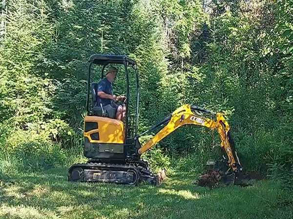 James use 2 ton crawler excavator in garden